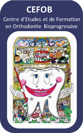 Cursus Théorique et Pratique de Formation à l’Orthodontie Bioprogressive Ricketts